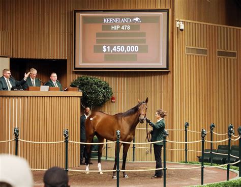 2022 Keeneland November Breeding Stock Sale .